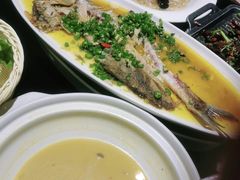 -三强鸽子(中原路店)