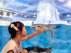 -大连圣亚海洋世界