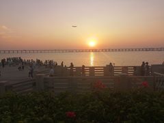 -宝安西湾红树林湿地公园