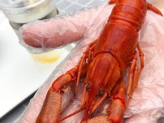 -SHRIMP CLUB万东餐饮钓虾·清吧