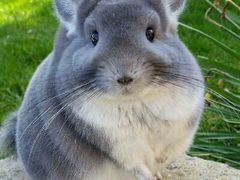 -乐福酒店(黎黄陂路汉口江滩店)