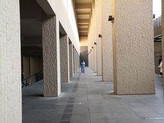 -汕头大学-图书馆