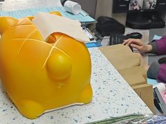 -半岛宠物医院24小时(白果林店)