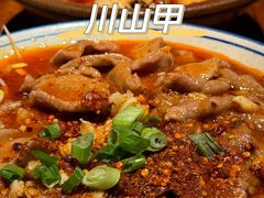 -Mountain House East Village 川山甲