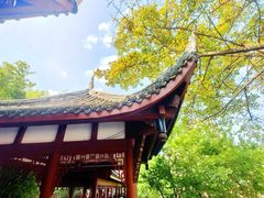-望江楼公园