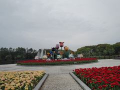 -上海鲜花港