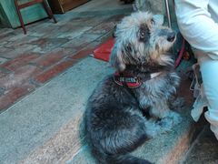 -老宅原住民沙茶面精品小吃(龙头路店)