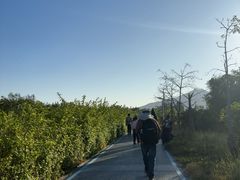 -西涌国际滨海旅游区