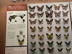 -天津自然博物馆