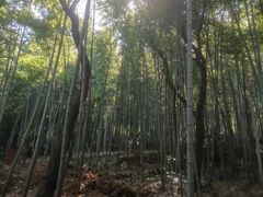 -穹窿山景区