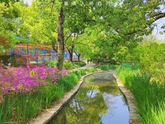 -上海共青森林公园