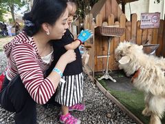 -HERRE·FARM 赫尔露营农场·团建聚会包场