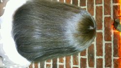 android_upload_pic-P.STYLE 派斯造型