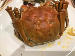 -王宝和酒家(黄浦店)