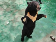 -西安秦岭野生动物园