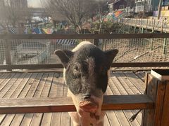 -北京鹿世界主题园