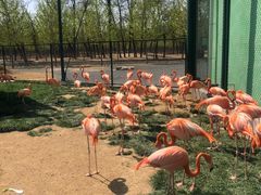 -秦皇岛野生动物园