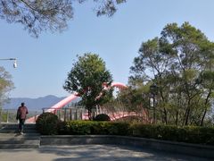 -金鸡山公园
