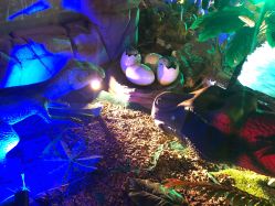 -恐龙探索乐园(磁器口店)