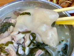 -胖娃滋补蹄花