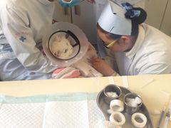 -美联众合动物医院·24h京西诊疗中心