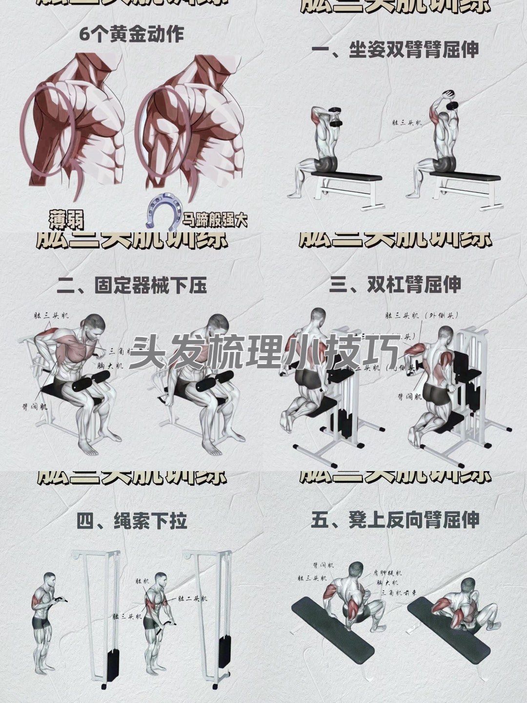 肱三头训练