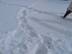 -ChanDu躔度咖啡(灯塔店)