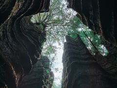 -梭布垭石林景区