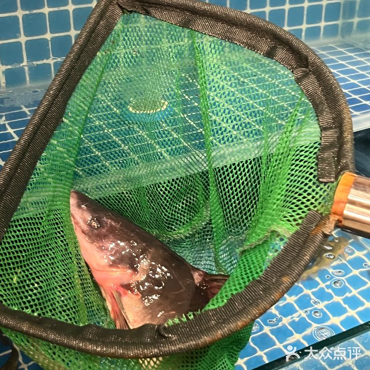 真的好爱吃这家美蛙鱼 每周都要来一次…