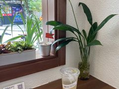 日本柚子苏打-流酥可心·牛乳蛋糕商店(禾祥西路店)