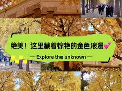 -钓鱼台国宾馆
