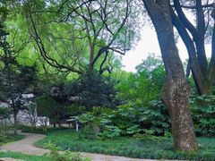 -上海醉白池公园
