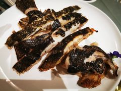 -大鸽饭(体育西路店)