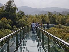 -陶祖圣境风景区