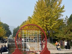 -晋祠公园