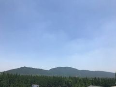 -百年尹氏汤包(湖南路狮子桥店)