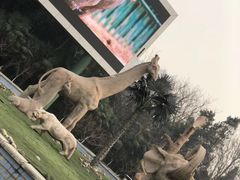-郑州市动物园