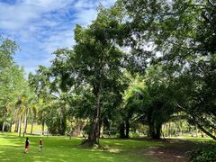 -中国科学院西双版纳热带植物园