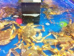-盒马鲜生(莱蒙都会店)