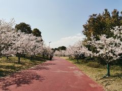 -幕燕滨江·长江观音景区
