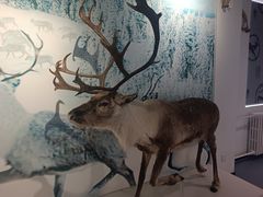 -北京麋鹿生态实验中心