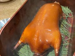 -鹿园 MOOSE(长宁店)