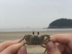 -东海半边山旅游度假区