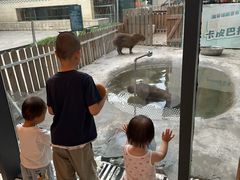 -廊坊固安福朋喜来登酒店