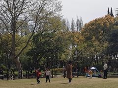 -瀛洲公园