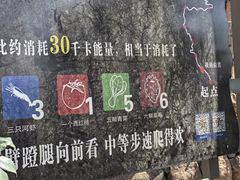 -宝岩生态观光园