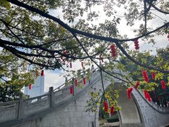 -荔枝公园(福田区)