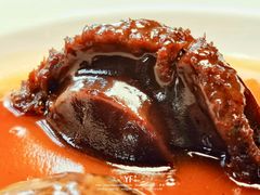 溏心鲍-三号黄浦会Canton Table