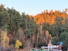 -五营红松林海景区