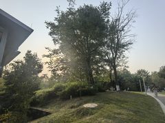 -白鹭湾湿地公园